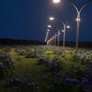 精品久久亚洲高清不卡
